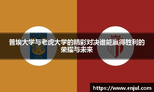 3377体育app