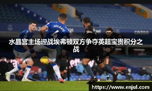 水晶宫主场迎战埃弗顿双方争夺英超宝贵积分之战